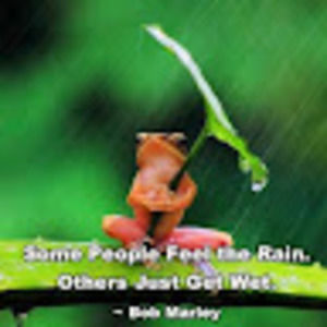 Meet your Posher, Jewels!